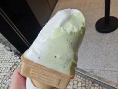 -柠檬车露(卖草地店)