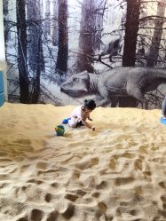 -恐龙探索乐园(磁器口店)