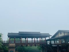 -江南天池
