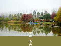 -合肥滨湖国家森林公园