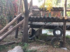 -北京动物园