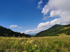 -白草畔自然风景区