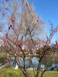 -玄武湖景区-情侣园游乐场