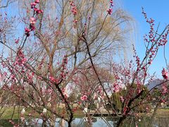 -玄武湖景区-情侣园游乐场