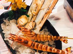 竹蛏王-鲜入围煮花胶鸡海鲜火锅