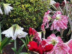 -浙江西子宾馆·瑶园咖啡厅