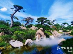 -罗红摄影艺术馆