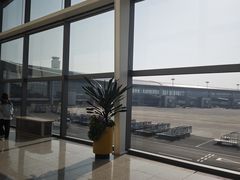 -青岛胶东国际机场