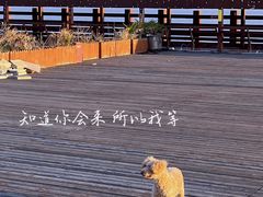 -奉贤海滩