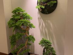 -海乐健康美食·SPA水疗会(水都假日酒店)