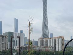 -小茶闲舍·观景商务茶馆(广州塔店)