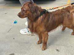 -安吉龙王山峡谷漂流