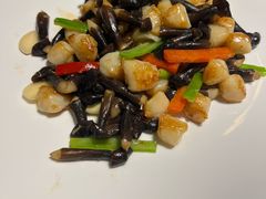 鸡枞菌鲜贝-天福苑(崇宁路店)