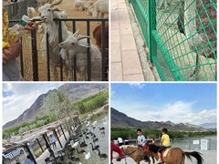 -新疆天山野生动物园