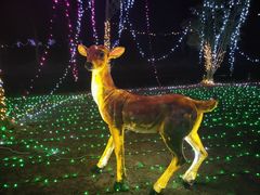 -歌斐颂巧克力小镇