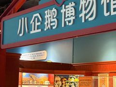 -海合安武汉极地海洋公园