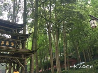 成都旅游不看后悔的地方～青城山打卡攻略