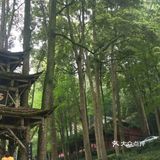 成都旅游不看后悔的地方～青城山打卡攻略