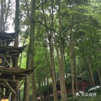 成都旅游不看后悔的地方～青城山打卡攻略