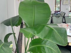 -七的湖·晚芳亭·阳澄湖农家菜·大闸蟹(莲花岛店)