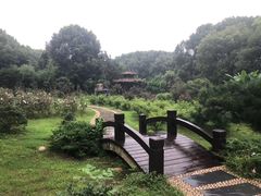 -东湖落雁景区