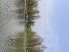 -九科绿洲