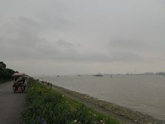 -海鸥岛