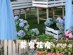 -盈香心动乐园