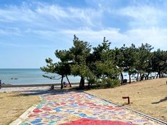 -海合安青岛极地海洋公园