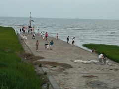 -南汇嘴观海公园