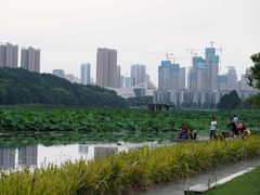-月湖风景区