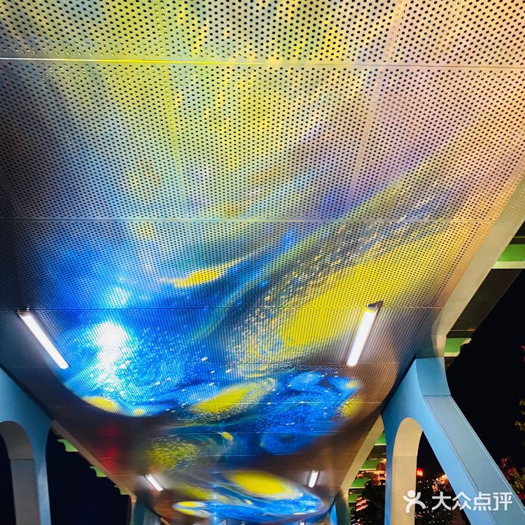 打卡，新佛山夜景