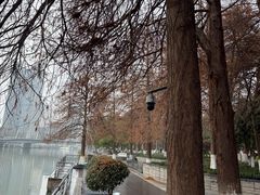 -西湖文化广场