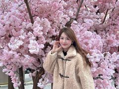 -金茂览秀城