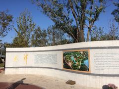 -武清南湖绿博园