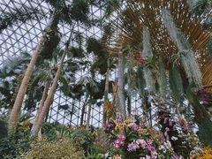 -上海辰山植物园