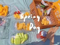 -上海共青森林公园