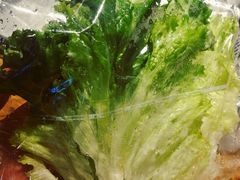 青爽生菜-新石器烤肉(无锡万象城店)