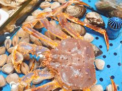 -大连湾旭日·家宴·海肠捞饭(马栏广场店)