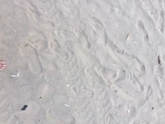 南长涂沙滩-南长涂沙滩