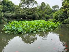-成都杜甫草堂博物馆