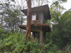 -海南热带野生动植物园