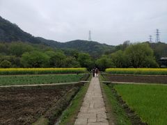 -西湖风景区-江洋畈生态公园