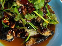 -有红鸡毛店·川菜(建设路店)