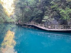 -尧治河旅游度假区
