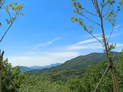 -北京西山国家森林公园