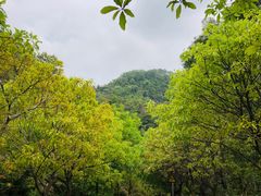 -田心森林公园