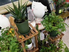 -欢牛蛋糕屋(萧山万象汇店)