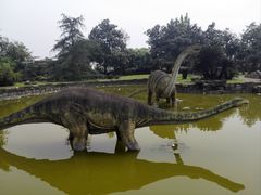 -自贡恐龙博物馆