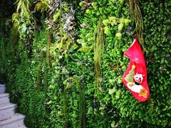 -执茶识麦(万达华府店)